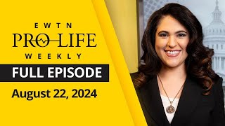 EWTN ProLife Weekly  Full EPISODE  Thursday August 22 2024 [upl. by Hobie]