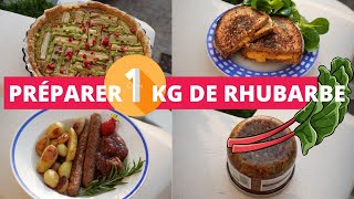 Comment préparer 1kg de rhubarbe  recettes de tarte confiture chutney amp sauce fermentée [upl. by Durrell]