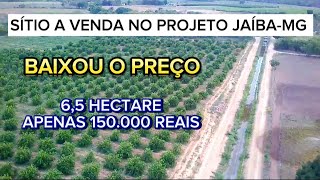 BAIXOU O PREÇO DO SÍTIO PARA VENDER RÁPIDO CAIU 30 MIL DO PREÇO ANTERIOR 31 989848776 [upl. by Lledrev]