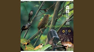 森林狂想曲 The Forest Show [upl. by Nauqed]