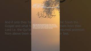 Surah AlMaidah Mishary bin Rashid Alafasy I Ayah 6566 [upl. by Hoeg]