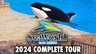 SeaWorld San Diego Tour 2024  Rides Shows Animal Exhibits and Walkthrough 4K POV [upl. by Opal]