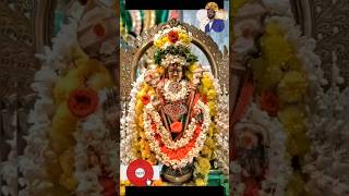 கந்த சஷ்டி reels kandasasti murugan shortfeed virelvideo palani devotional north singing [upl. by Season]