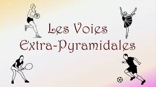 Neurofacile 8  Les voies extrapyramidales [upl. by Anat906]