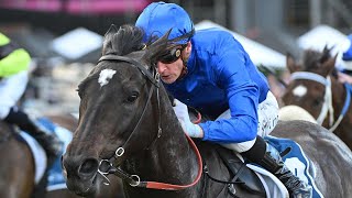 Caulfield  2024 Underwood Stakes Day Preview PERICLES THE ONE TO BEAT [upl. by Foulk]