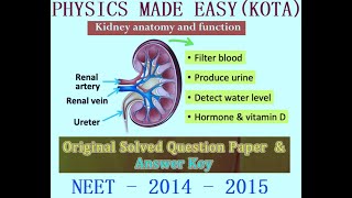 NEET SPECIAL SOLVED PAPER  2014 amp 2015 HORMONES OF HEART amp KIDNEY RESPIRATION KIDNEY ANATOMY 1 [upl. by Atived]