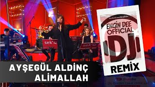 Ayşegül Aldinç  Alimallah  Remix  Dj Engin Dee [upl. by Rehpotsrik]