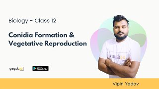 Conidia Formation amp Vegetative Reproduction  By Vipin Yadav  Biology Course  Class 12  Yayskool [upl. by Atirres]