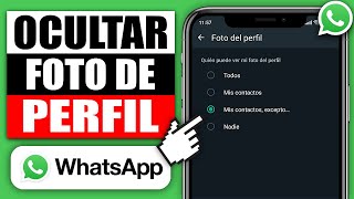 ✅ Cómo Ocultar mi Foto de Perfil de Whatsapp A Una Persona 2024 Ocultar Foto de Perfil en Whatsapp [upl. by Nama]