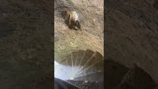 One of many spiral staircases at Carnasserie Castle nr Kilmartin Argyll Scotland castle Scotland [upl. by Naihtniroc252]