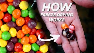 What is Freeze Drying [upl. by Melinde]