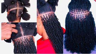 How to micro twist with curly hair minitwist microtwists twist twostrandtwist [upl. by Andria]