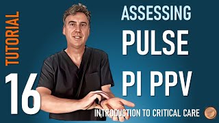 Pulse Pulsatility Index and Pulse Pressure Variation [upl. by Nutsud]