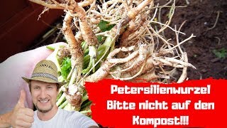 Petersilienwurzel 🔴 Bitte nicht auf dem Kompost [upl. by Kataway]