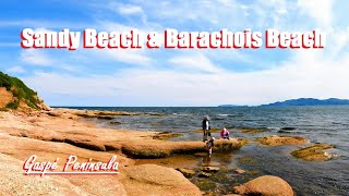 Untouched Beauty of Sandy Beach amp Barachois Beach  Gaspé Peninsula [upl. by Macrae]