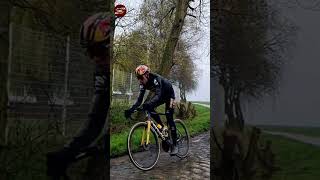 Wout van Aert Reco ParisRoubaix 2023 [upl. by Candy84]