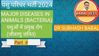 veterinary medicine bacterialdisease bq anthrax hs mastitis brucellosis struck tetanus calf [upl. by Cela]