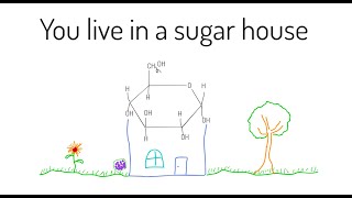 You live in a sugar house [upl. by Soilissav]