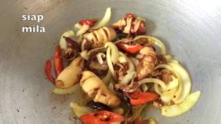 Resepi sotong masak sos tiram [upl. by Aliahs887]