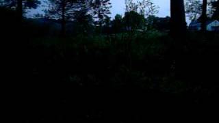 Sounds of the night near a freshwater marsh and pond in Western Massachusetts [upl. by Vogel]