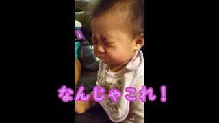 赤ちゃん、初めて食べるヨーグルトの味にビックリ！  Baby First time to eat Yogurt [upl. by Neelhsa]