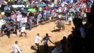 Santiagada Santiago Tulantepec como Pamplonada en España [upl. by Jair165]