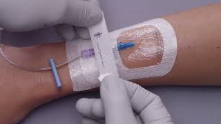 3M™ Tegaderm™ Antimicrobial IV Advanced Securement Dressing 9132 Application and Removal video [upl. by Ettenav]