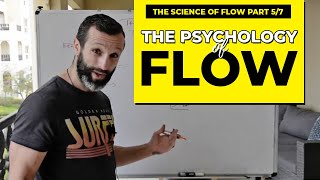 The Psychology of Flow by Mihaly Csikszentmihalyi The Science of Flow Part 57 [upl. by Ainwat]