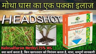 Headshot herbicide  Halosulfuron Methyl 75 WG  मोथा खरपतवार को नियंत्रण केसे करे [upl. by Donelson]