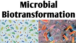 Microbial BiotransformationBiotechnologyUnit 4BPharm 6Sem microbialbiotransformation [upl. by Amanda]