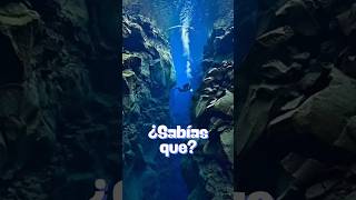 La fosa de las marianas 🌊shortvideo shorts sabiasque [upl. by Abe]