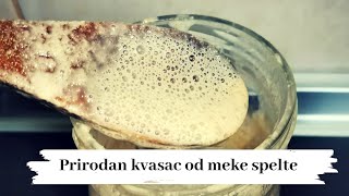 PRIRODAN KVASAC od meke spelte KAKO NAPRVITI DOMAĆI KVASAC starter [upl. by Cock758]