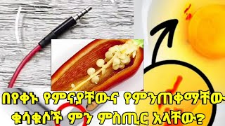 በየቀኑ የምንጠቀማቸው ዕቃዎችና ምስጢሮቻቸውSecretes of our everyday thingsKalianahEthiopia [upl. by Uuge432]