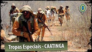 Tropas Especiais do Exército Brasileiro  Caatinga [upl. by Gilles]