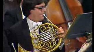 Tchaikovskys 5th Symphony Horn Solo [upl. by Danni51]