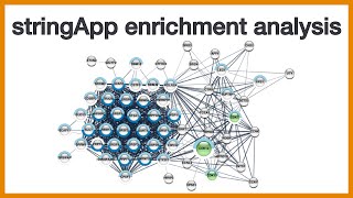 stringApp enrichment analysis Brief introduction to the GSEA functionality of Cytoscape stringApp [upl. by Hamon]