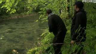 Pêche de la truites aux leurres dans lAin sur lAlbarine [upl. by Pradeep162]