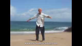 Bos Chi Kung amp Parkinson Qigong ZwaaiKloppen [upl. by Dleifniw]