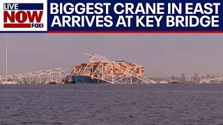 Baltimore bridge collapse Largest crane on eastern seaboard used to move ship  LiveNOW from FOX [upl. by Latia]