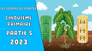 les besoins des plantes cinquieme primaire  partie 5  2023 [upl. by Livingstone]