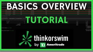 ThinkorSwim Tutorial Basics Overview for Beginners [upl. by Haelam]