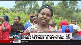 Kichwa bila mwili chapatikana bwawa la Kiambaa [upl. by Gresham]