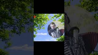 Mój Cygan 2  Solo bossmusic akordeon folkmusic accordion accordionmusic viral acc shorts [upl. by Harlow22]