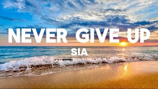 Sia  Never Give Up Lyrics [upl. by Assen73]