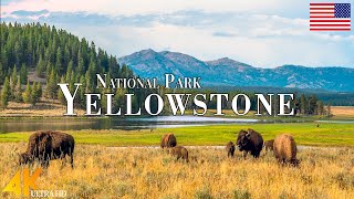 Yellowstone National Park 4K Ultra HD • Stunning Footage Scenic Relaxation Film with Calming Music [upl. by Neilson60]