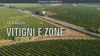 I vitigni del Lazio e le zone di produzione del vino  Tannico [upl. by Prud]