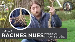 Tuto  plants en racines nues bonne ou mauvaise idée [upl. by Odlaumor]