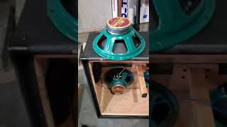 peavey valveking 412 cab speaker swap part 1 [upl. by Ynittirb]