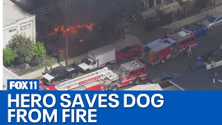 Koreatown man runs in to burning house to search for dog man and dog survive [upl. by Crain]