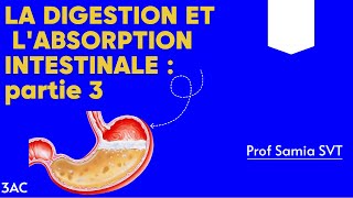 Labsorption intestinale 3AC  كلشي غادي يفهم اليوم معProf Samia SVT digestion absorption [upl. by Anirdnaxela531]